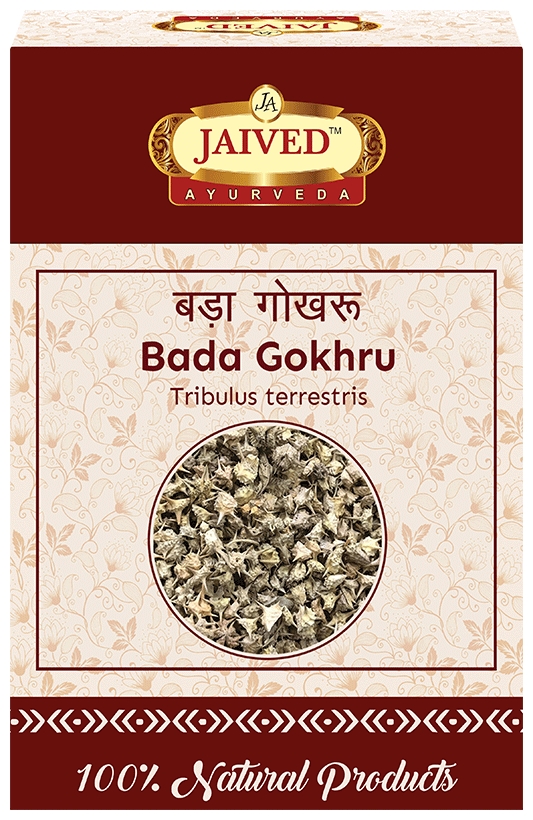 Jaived Ayurveda Bada Gokhru | Swadesiicart