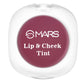 MARS Cosmetics Lip & Cheek Tint for Bold Pop Color - 06-Dark Fuschia - Swadesiicart