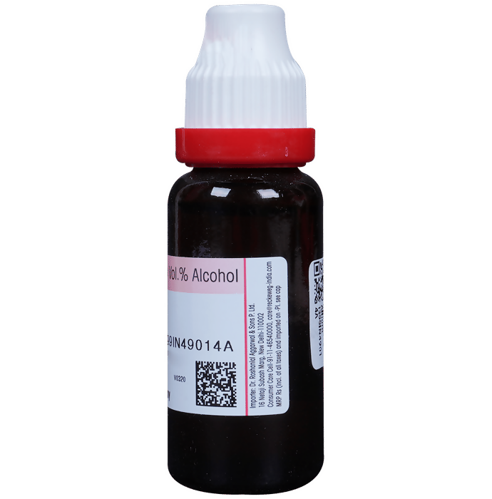Dr. Reckeweg Allium Sativum Mother Tincture Q | Swadesiicart