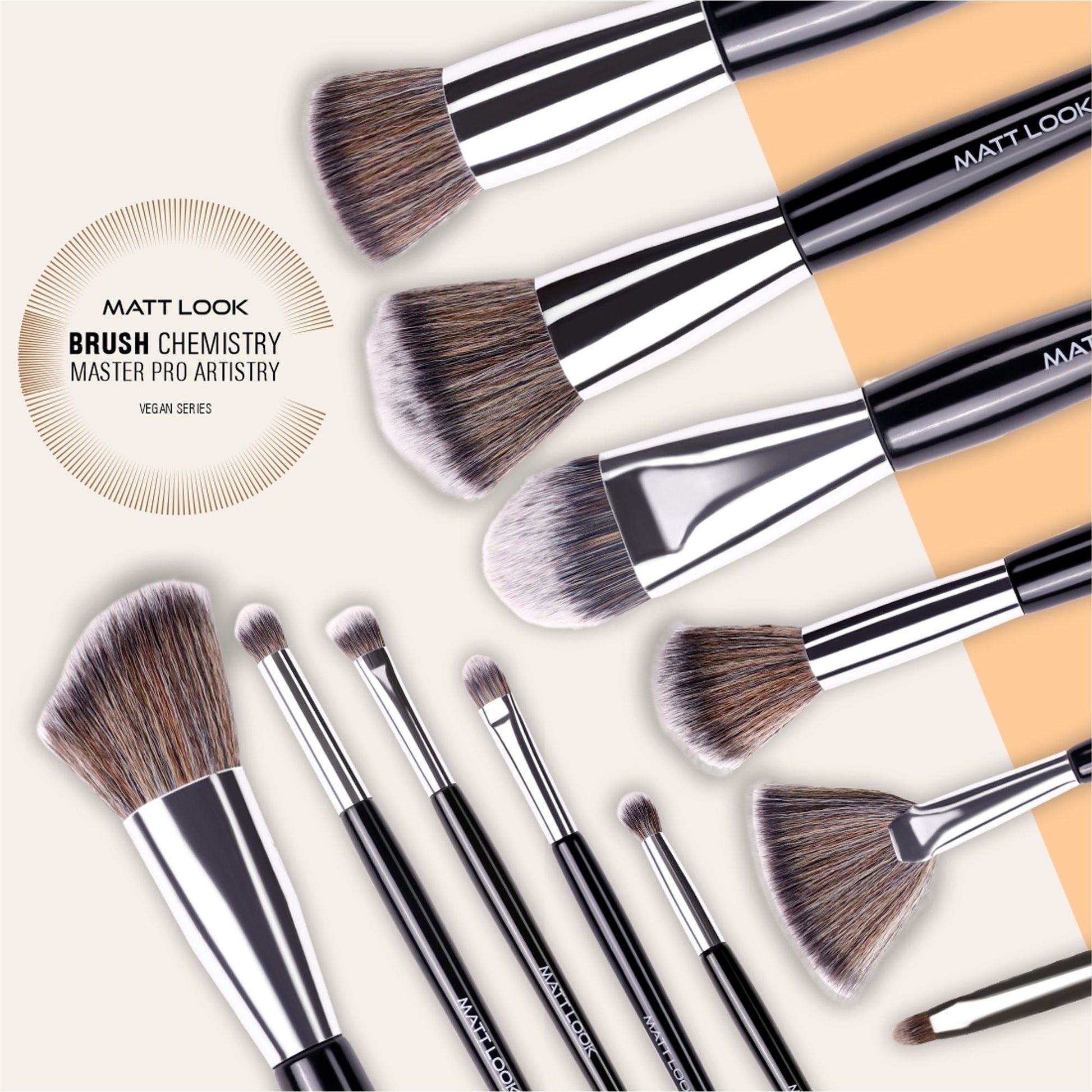 Matt Look Brush Chemistry Master Pro Artistry - Set of 12 - Swadesiicart