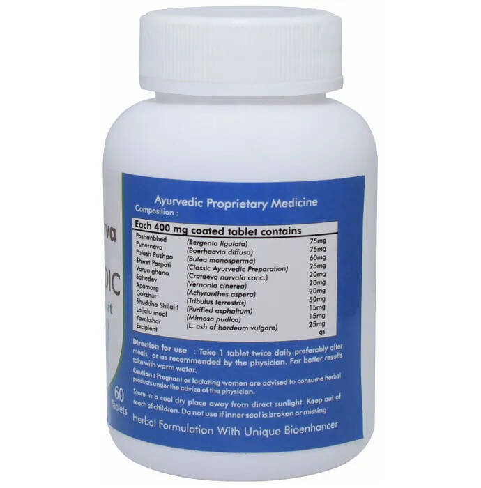 Ved Tattva Stonvedic Tablets | Swadesiicart