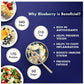 Sorich Organics Plant Based Superfood Blue Berries | Swadesiicart