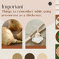 Organic Ayurvedistan Arrow Root Powder - Swadesiicart