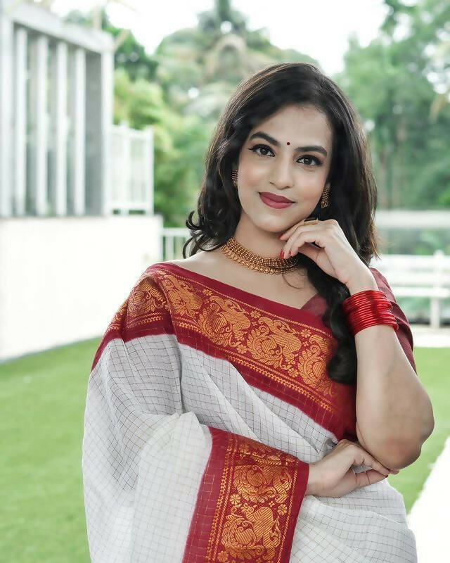 DEIANA'S Beautiful Designer Golden zari Soft Lichi Silk Saree - Red - Swadesiicart