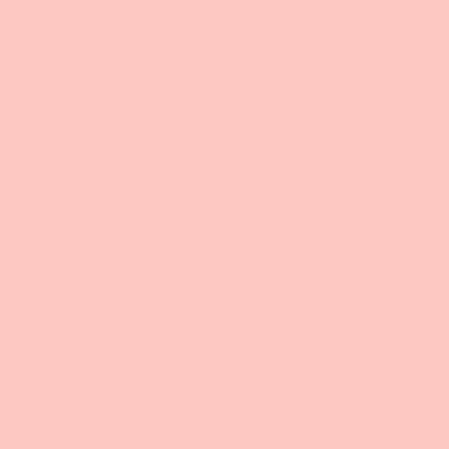 Matt Look Concealer & Anticernes SPF 20 - Blush - Swadesiicart