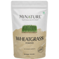 Minature Wheat Grass Organic Powder | Swadesiicart