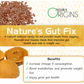 Ayura Origins Nature's Gut Fix Powder - Swadesiicart