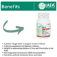 Iafa Ayuveda Shatavari Veg Capsules | Swadesiicart