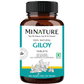 Minature Giloy Tablets | Swadesiicart