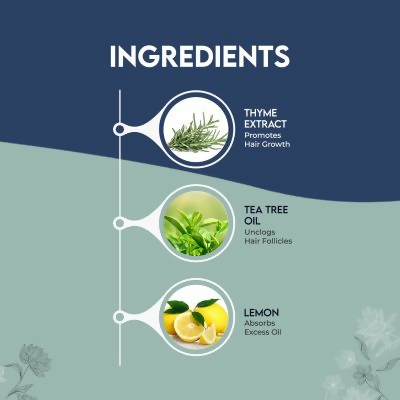 Jovees Thyme & Tea Tree Anti Dandruff Shampoo For All Hair Types - Swadesiicart