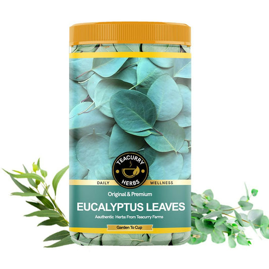 Teacurry Organic Eucalyptus Leaves - Teacurry