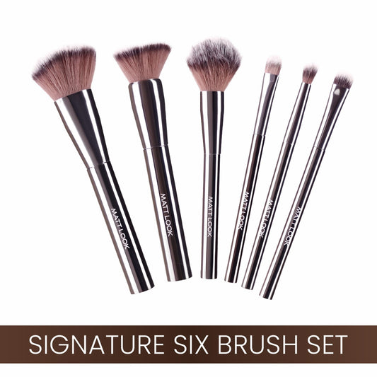 Matt Look Professional Signature Brush - Set of 6 - Swadesiicart