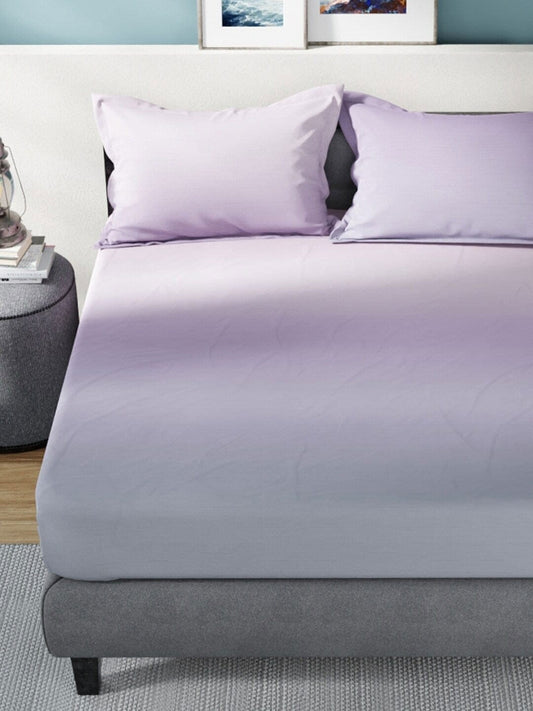 Nautica Bradford Purple & Mauve 160 TC Pure Cotton King Bedsheet & 2 Pillow Covers - Swadesiicart
