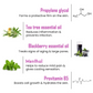 Keya Seth Aromatherapy Blackberry Fresh Look Face Wash - Swadesiicart