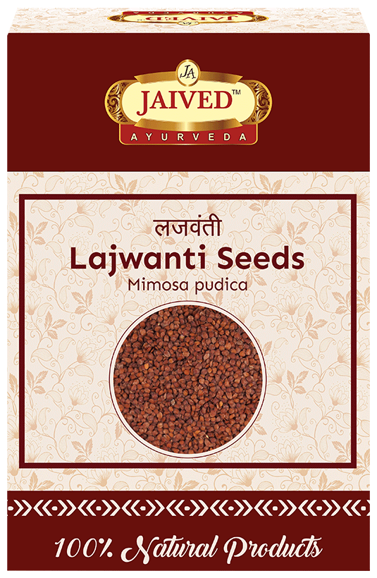 Jaived Ayurveda Sensitive Plant Lajwanti Seeds | Swadesiicart