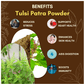 Jaived Ayurveda Tulsi Patra Powder | Swadesiicart