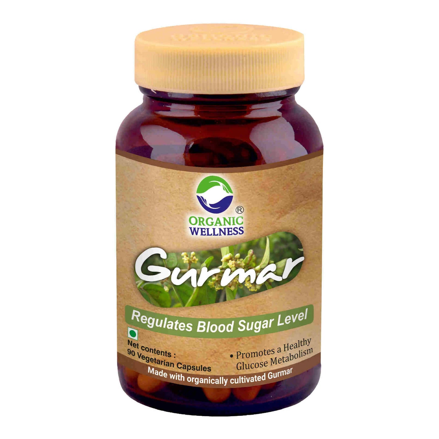 Organic Wellness Gurmar Vegetarian Capsules - Organic Wellness Products Private Limited