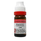 Dr. Reckeweg Magnesium Carbonicum Dilution - Swadesiicart