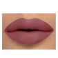 Daily Life Forever52 I'm Unlimited Lipstick - Brandy | Swadesiicart