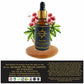Aaranyam Beard Oil