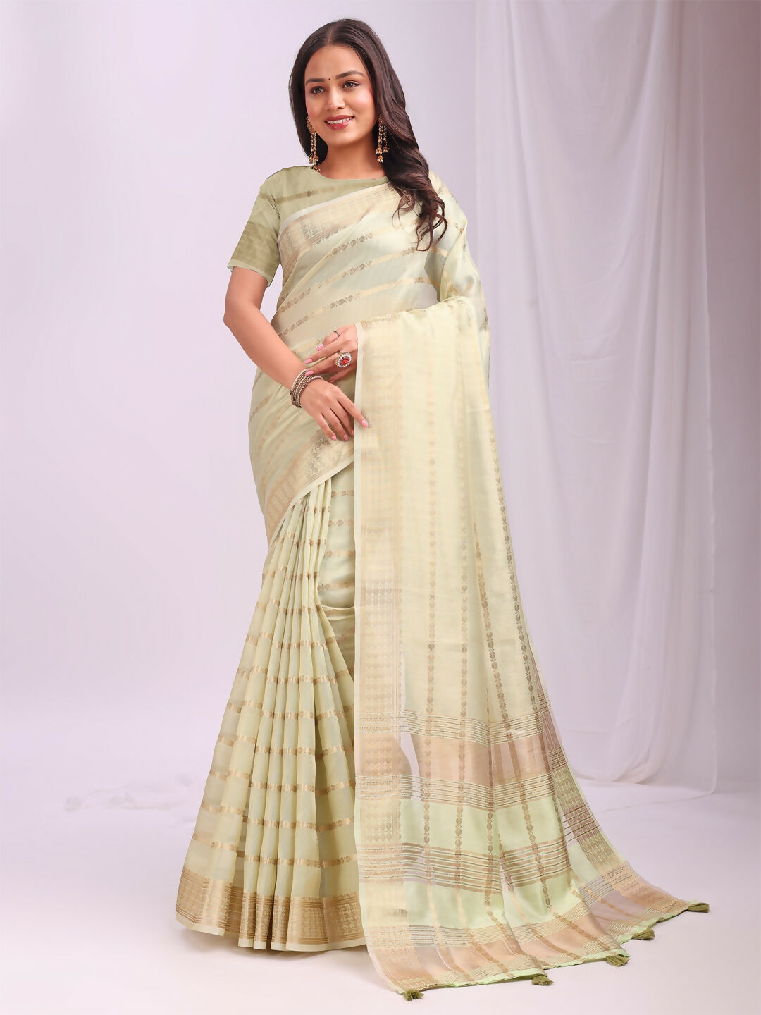 Shree Shyam Fashion Organza Light Green Saree