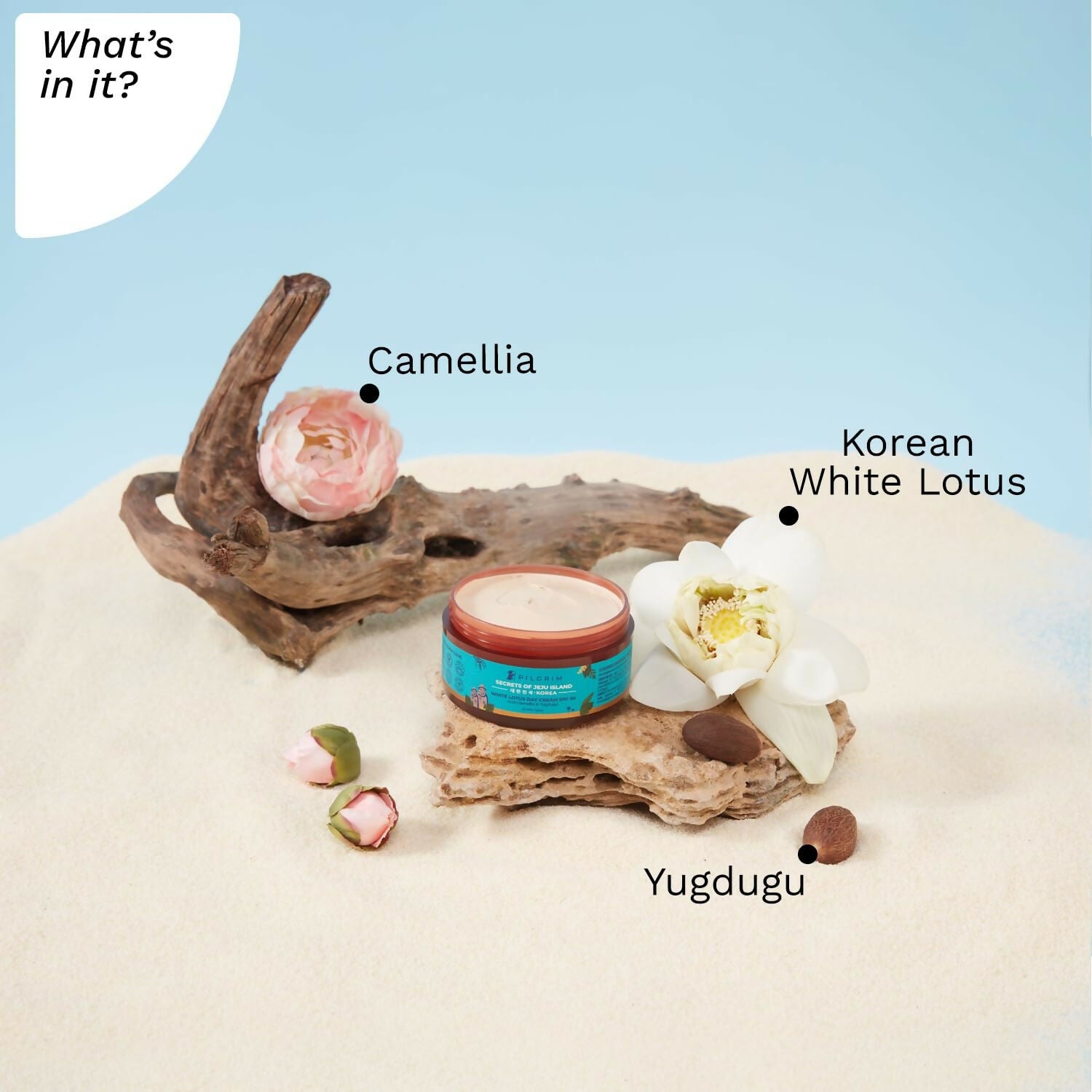 Pilgrim Korean White Lotus Day Cream SPF 50 With Camellia And Yugdugu - Swadesiicart