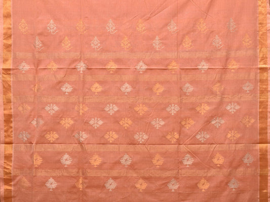 Fawn Uppada Cotton Handloom Saree with Assorted Pallu Design - Global Threads | Swadesiicart