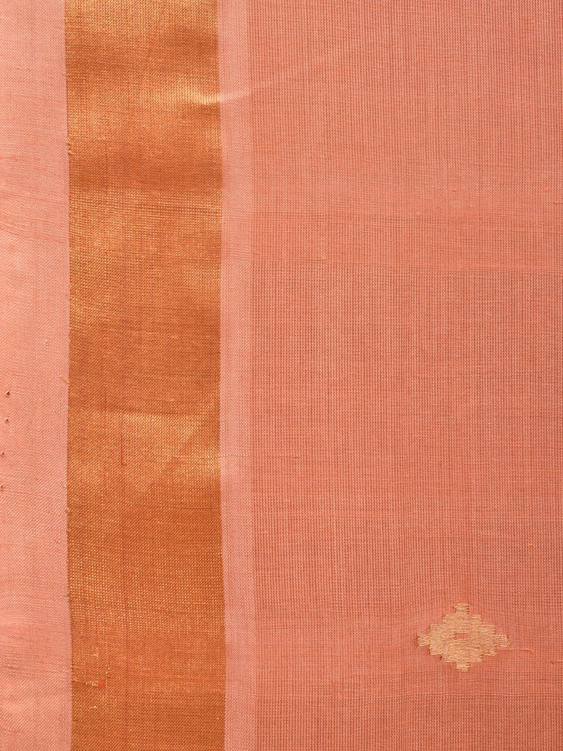 Fawn Uppada Cotton Handloom Saree with Assorted Pallu Design - Global Threads | Swadesiicart