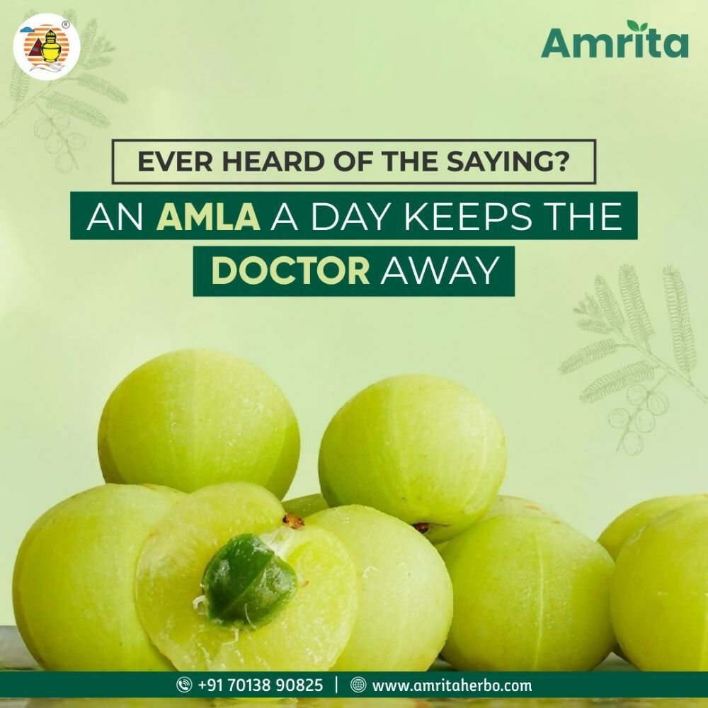 Amrita Nisa Amalaki Tablets - Swadesiicart