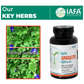 Iafa Ayuveda Aparajita Veg Capsules | Swadesiicart
