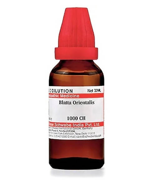 Dr. Willmar Schwabe India Blatta Orientalis Dilution | Swadesiicart