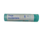 Boiron Homeopathy Thuja Occidentalis | Swadesiicart