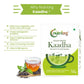 Nutriorg Ayush Kwath Kaadha - Swadesiicart