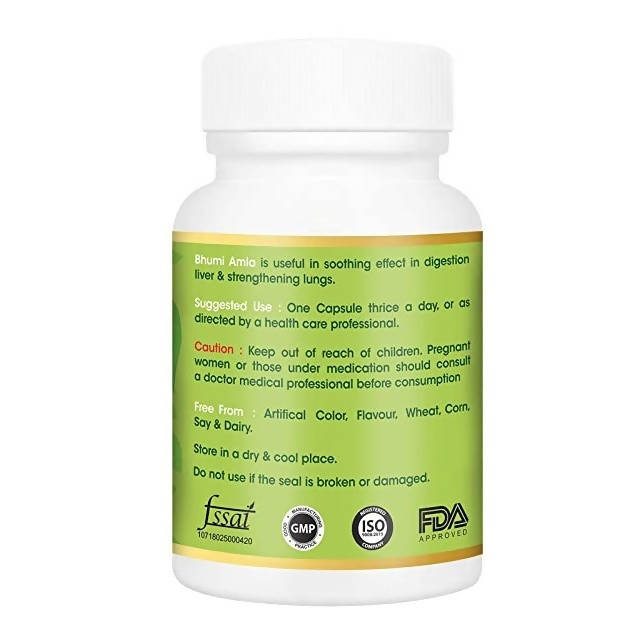 Vitagreen Ayurveda Bhumi Amla Capsules | Swadesiicart