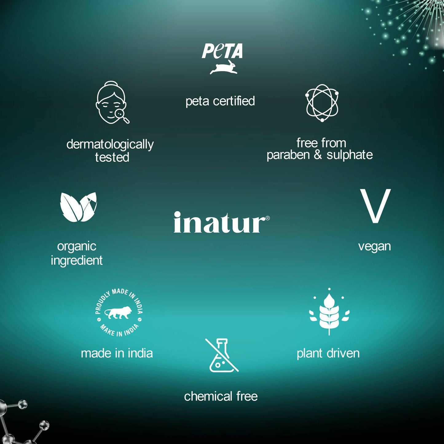 Inatur Niacinamide Face Wash - Swadesiicart