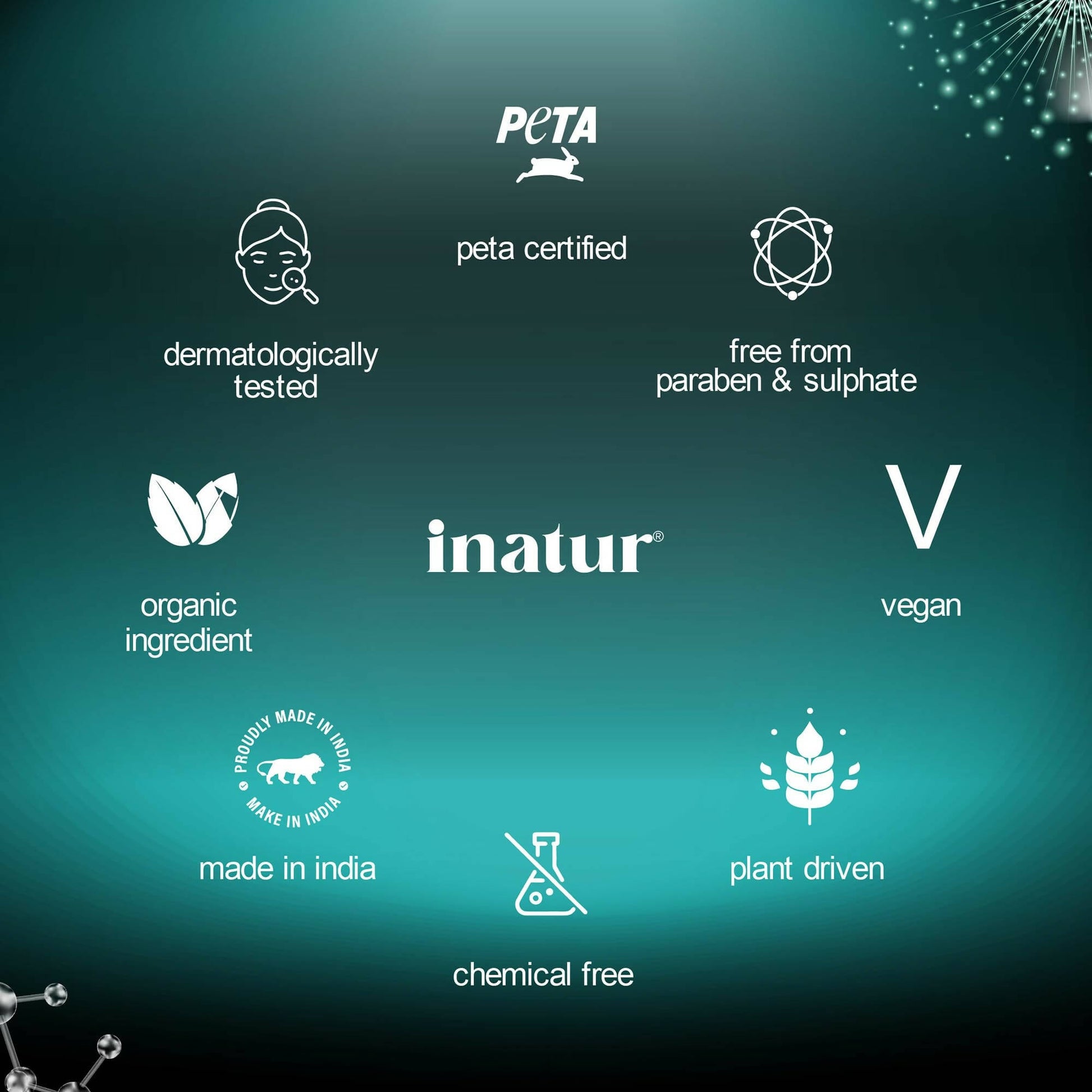 Inatur Niacinamide Face Wash - Swadesiicart