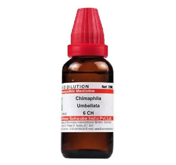 Dr. Willmar Schwabe India Chimaphila Umbellata Dilution | Swadesiicart