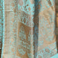 Joban Fashion Aqua Crepe Chiffon Pure Handloom Banarasi Silk Saree | Swadesiicart