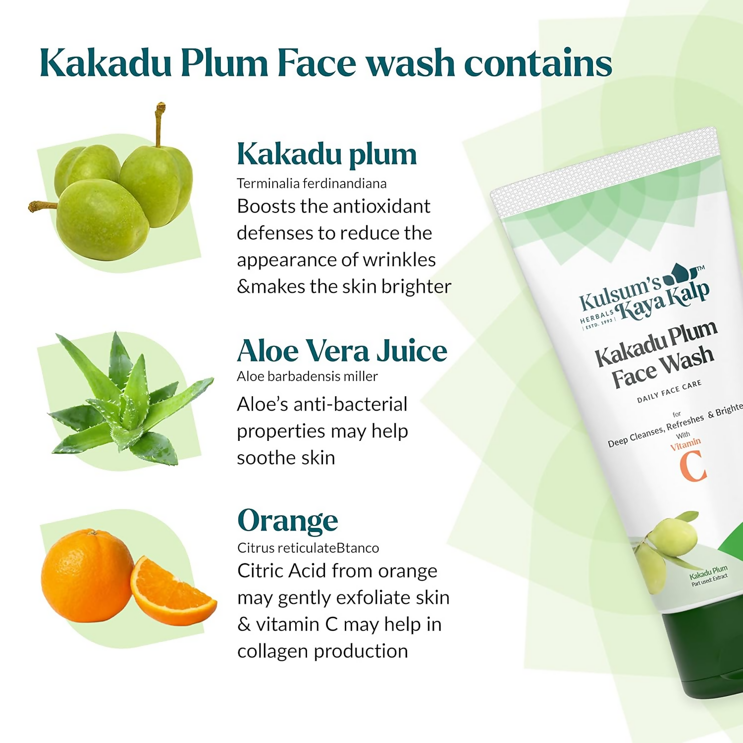 download - 2024-09-25T165155.714