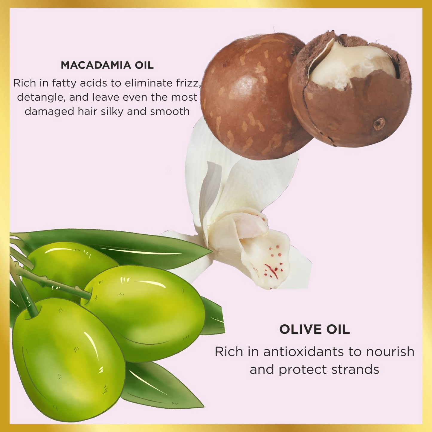 HASK Macadamia Oil Moisturizing Deep Conditioner | Swadesiicart