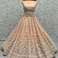 Jyoti Fashion Women's Peach Net Patterned Thread Embroidered with Sequins Wedding Lehenga Choli | Swadesiicart