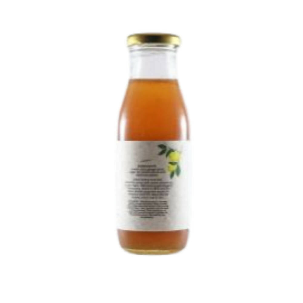 Native Circle Lemon Ginger Syrup | Swadesiicart