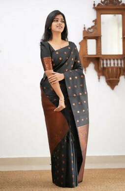 DEIANA'S Beautiful Designer Golden zari Soft Lichi Silk Saree - Black - Swadesiicart