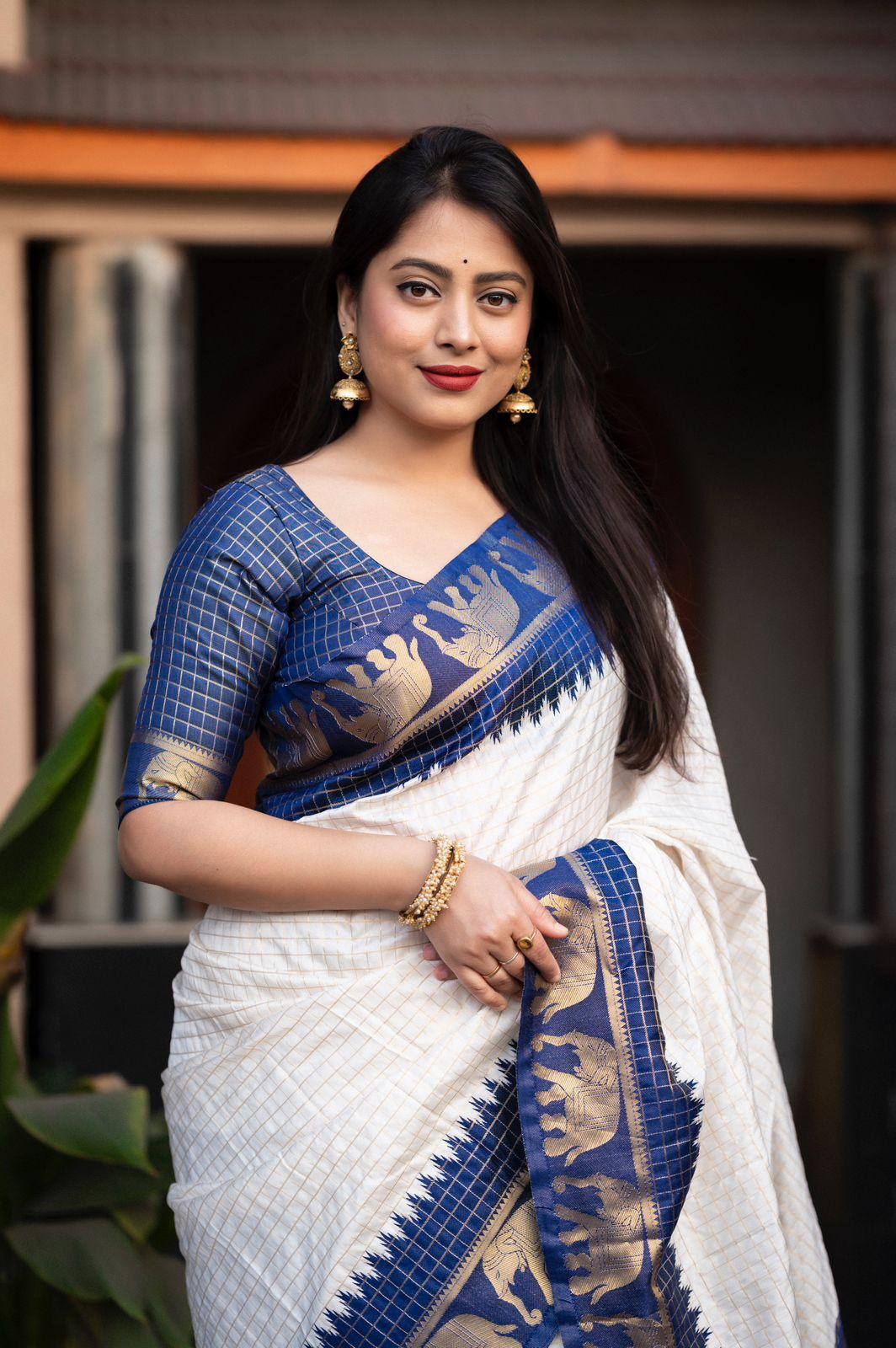 Nblue Silk Zari Woven Saree with Unstitched Blouse - Hiral Fashion | Swadesiicart