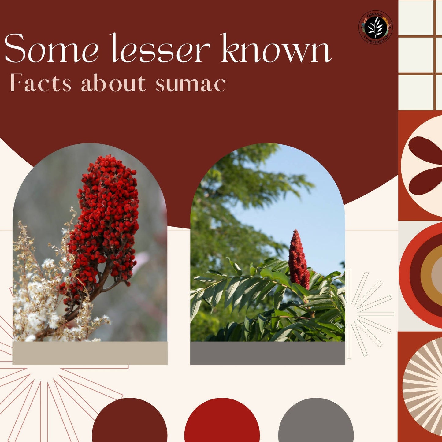 Organic Ayurvedistan Sumac Powder - Swadesiicart