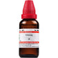 Dr. Willmar Schwabe India Ginseng Mother Tincture Q | Swadesiicart