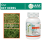 Iafa Ayuveda Durva Veg Capsules | Swadesiicart