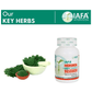 Iafa Ayuveda Moringa Veg Capsules | Swadesiicart