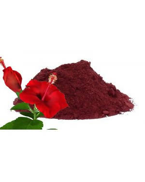 Hebsur Herbals Hibiscus Powder | Swadesiicart