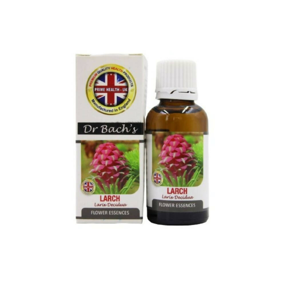 Dr. Bach's Larch (Pure Essence) Bach Flower | Swadesiicart